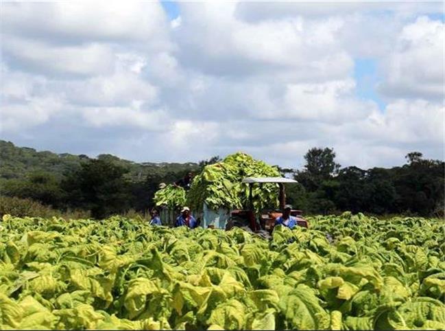 اخبار بین الملل آذر 1404