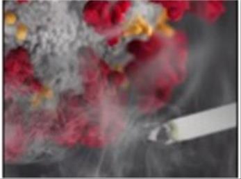 آقای بهداشت و دغدغه سلامت