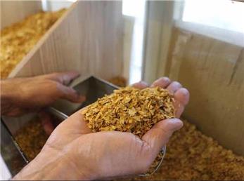 اقدامات وزارت صمت  برای رفع مشکلات توتونکاران