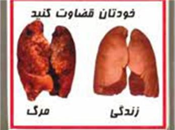 لزوم ابلاغ فوری تغییرات از سوی وزارت صمت
