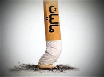 سیگاری‌ها 2/5 همت بیشتر از فروشندگان مسکن و زمین مالیات داده‌اند