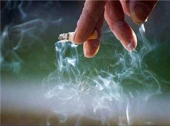 هزینه زیاد برای تبلیغ در شبکه نمایش خانگی