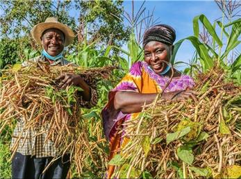 صادرات تنباکوی موزامبیک در سال 2024 با رشد 63 درصدی مواجه شد