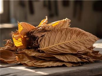 چه عواملی بر کیفیت برگ توتون تاثیر گذار است؟