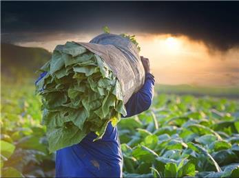 اخبار بین الملل  مرداد ماه