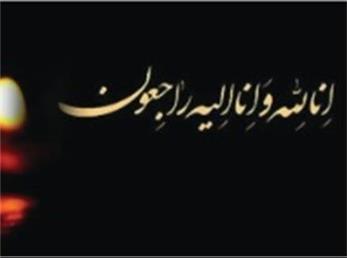 هیئت دولت 40 روز عزای عمومی و 7 روز تعطیلی اعلام کرد